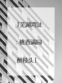 芜湖湾沚：桃香满园醉枝头