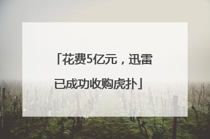 花费5亿元，迅雷已成功收购虎扑