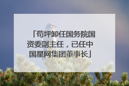 苟坪卸任国务院国资委副主任，已任中国星网集团董事长
