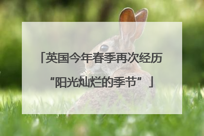 英国今年春季再次经历“阳光灿烂的季节”