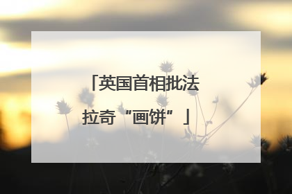 英国首相批法拉奇“画饼”