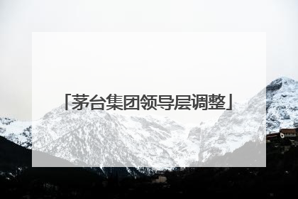 茅台集团领导层调整