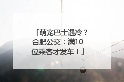 萌宠巴士遇冷？合肥公交：满10位乘客才发车！