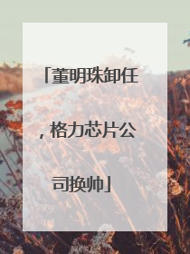董明珠卸任，格力芯片公司换帅