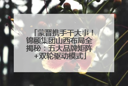 蒙晋携手干大事！锦颐集团山西布局全揭秘：五大品牌矩阵+双轮驱动模式