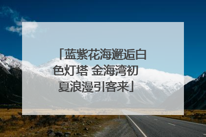 蓝紫花海邂逅白色灯塔 金海湾初夏浪漫引客来