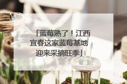 蓝莓熟了！江西宜春这家蓝莓基地迎来采摘旺季