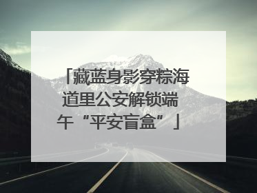 藏蓝身影穿粽海 道里公安解锁端午“平安盲盒”