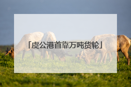 虞公港首靠万吨货轮