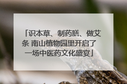 识本草、制药膳、做艾条 南山植物园里开启了一场中医药文化盛宴