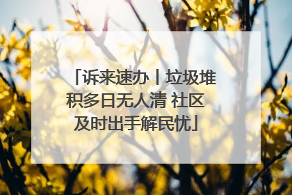 诉来速办丨垃圾堆积多日无人清 社区及时出手解民忧