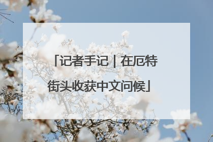记者手记｜在厄特街头收获中文问候