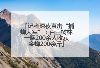 记者深夜直击“捕蝉大军”：百亩树林一晚200余人收获金蝉200余斤
