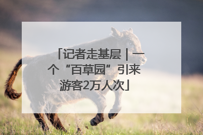 记者走基层｜一个“百草园”引来游客2万人次