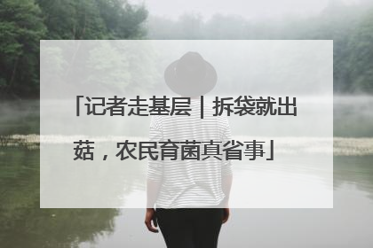 记者走基层｜拆袋就出菇，农民育菌真省事