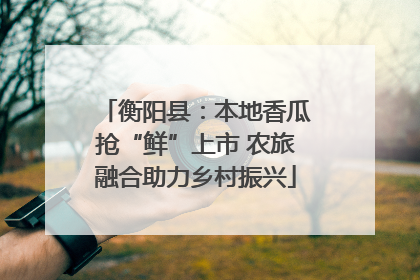 衡阳县：本地香瓜抢“鲜”上市 农旅融合助力乡村振兴