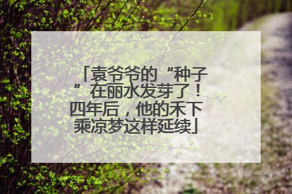 袁爷爷的“种子”在丽水发芽了！四年后，他的禾下乘凉梦这样延续