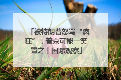 被特朗普怒骂“疯狂”，普京可能一笑置之丨国际观察