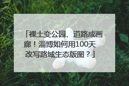 裸土变公园、道路成画廊！淄博如何用100天改写路域生态版图？