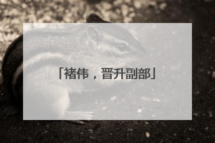 褚伟，晋升副部