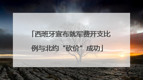 西班牙宣布就军费开支比例与北约“砍价”成功
