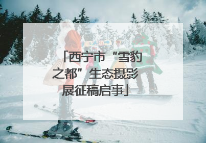 西宁市“雪豹之都”生态摄影展征稿启事