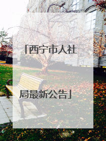 西宁市人社局最新公告