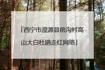 西宁市湟源县前沟村高山大白杜鹃走红网络