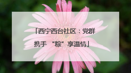 西宁西台社区：党群携手 “粽”享温情