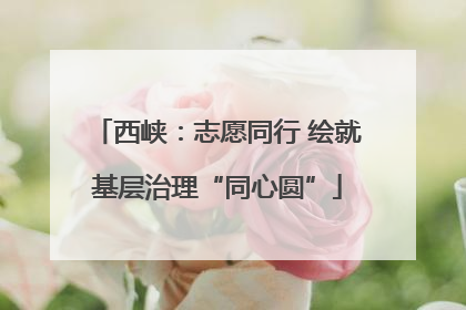 西峡：志愿同行 绘就基层治理“同心圆”