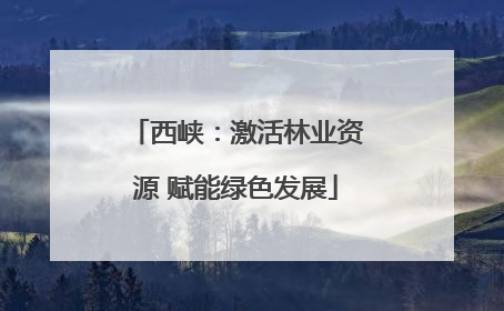 西峡：激活林业资源 赋能绿色发展