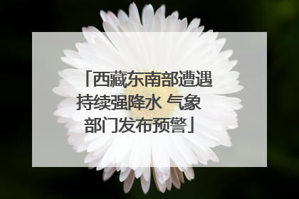 西藏东南部遭遇持续强降水 气象部门发布预警