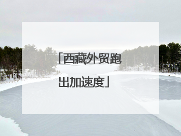 西藏外贸跑出加速度