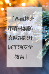 西藏林芝市森林消防支队组织开展车辆安全教育