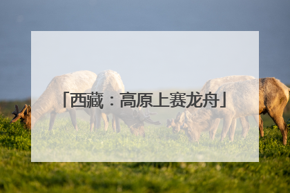 西藏：高原上赛龙舟