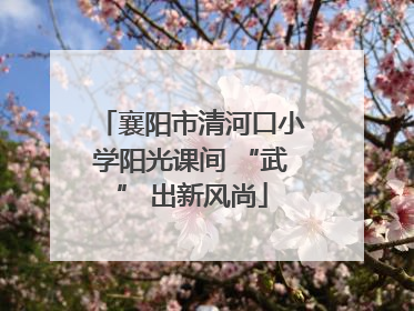 襄阳市清河口小学阳光课间 “武” 出新风尚