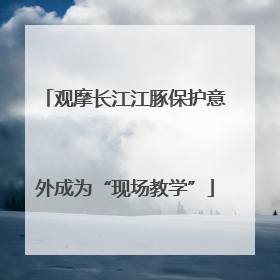 观摩长江江豚保护意外成为“现场教学”