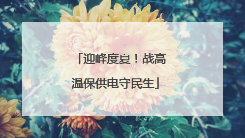 迎峰度夏！战高温保供电守民生