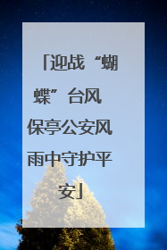 迎战“蝴蝶”台风 保亭公安风雨中守护平安
