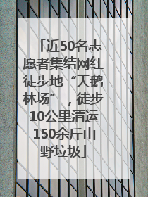 近50名志愿者集结网红徒步地“天鹅林场”，徒步10公里清运150余斤山野垃圾