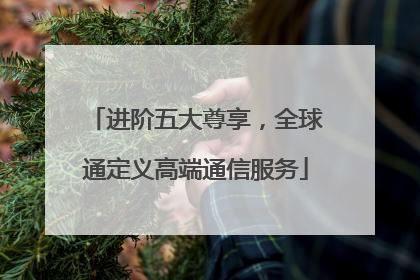 进阶五大尊享，全球通定义高端通信服务