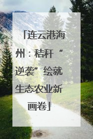 连云港海州：秸秆“逆袭”绘就生态农业新画卷