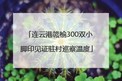连云港赣榆300双小脚印见证驻村巡察温度