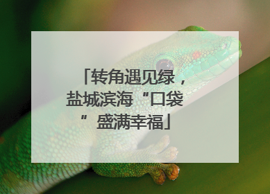转角遇见绿，盐城滨海“口袋”盛满幸福
