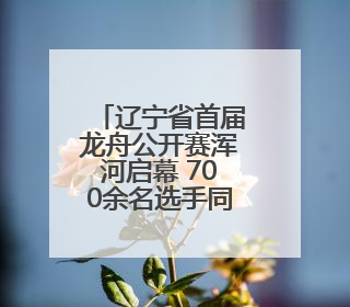 辽宁省首届龙舟公开赛浑河启幕 700余名选手同场竞技