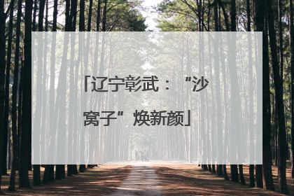 辽宁彰武：“沙窝子”焕新颜