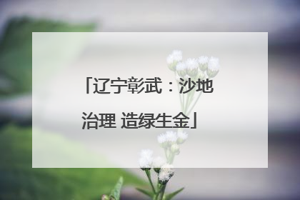 辽宁彰武：沙地治理 造绿生金