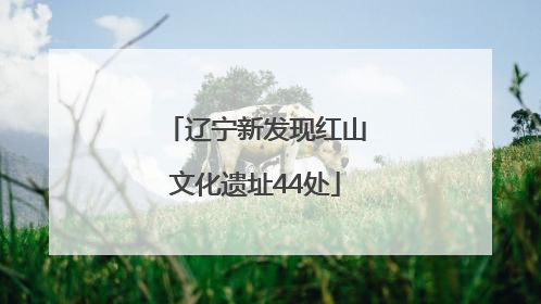 辽宁新发现红山文化遗址44处