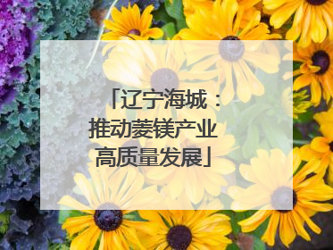 辽宁海城：推动菱镁产业高质量发展