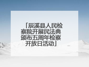 辰溪县人民检察院开展民法典颁布五周年检察开放日活动